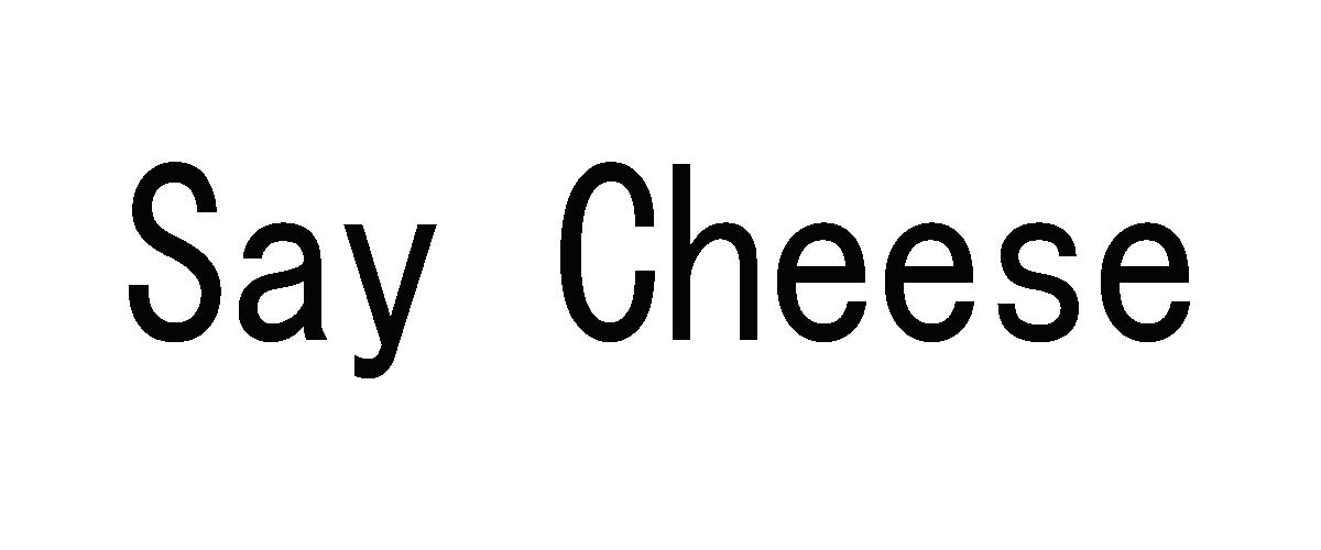  em>say /em>  em>cheese /em>