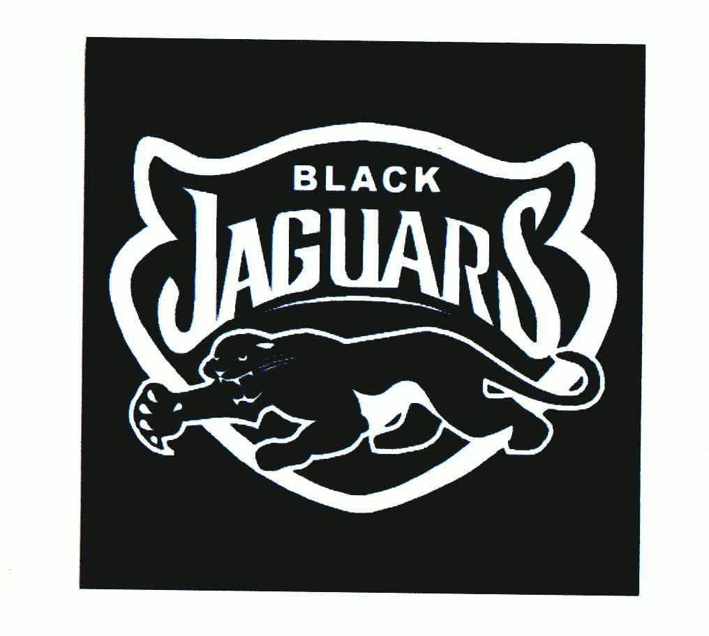  em>black /em> jaguars