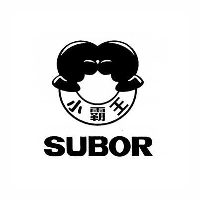  em>小霸王 /em>  em>subor /em>