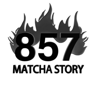 857 em>match /em> em>astory /em>
