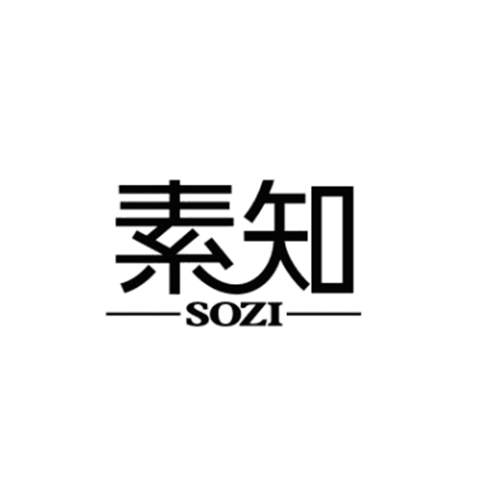 素知 em>sozi/em>