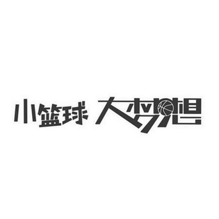 小篮球大梦想logo图片