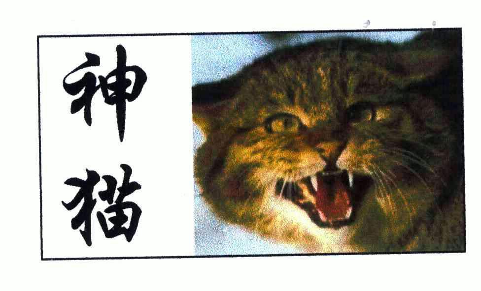 神猫