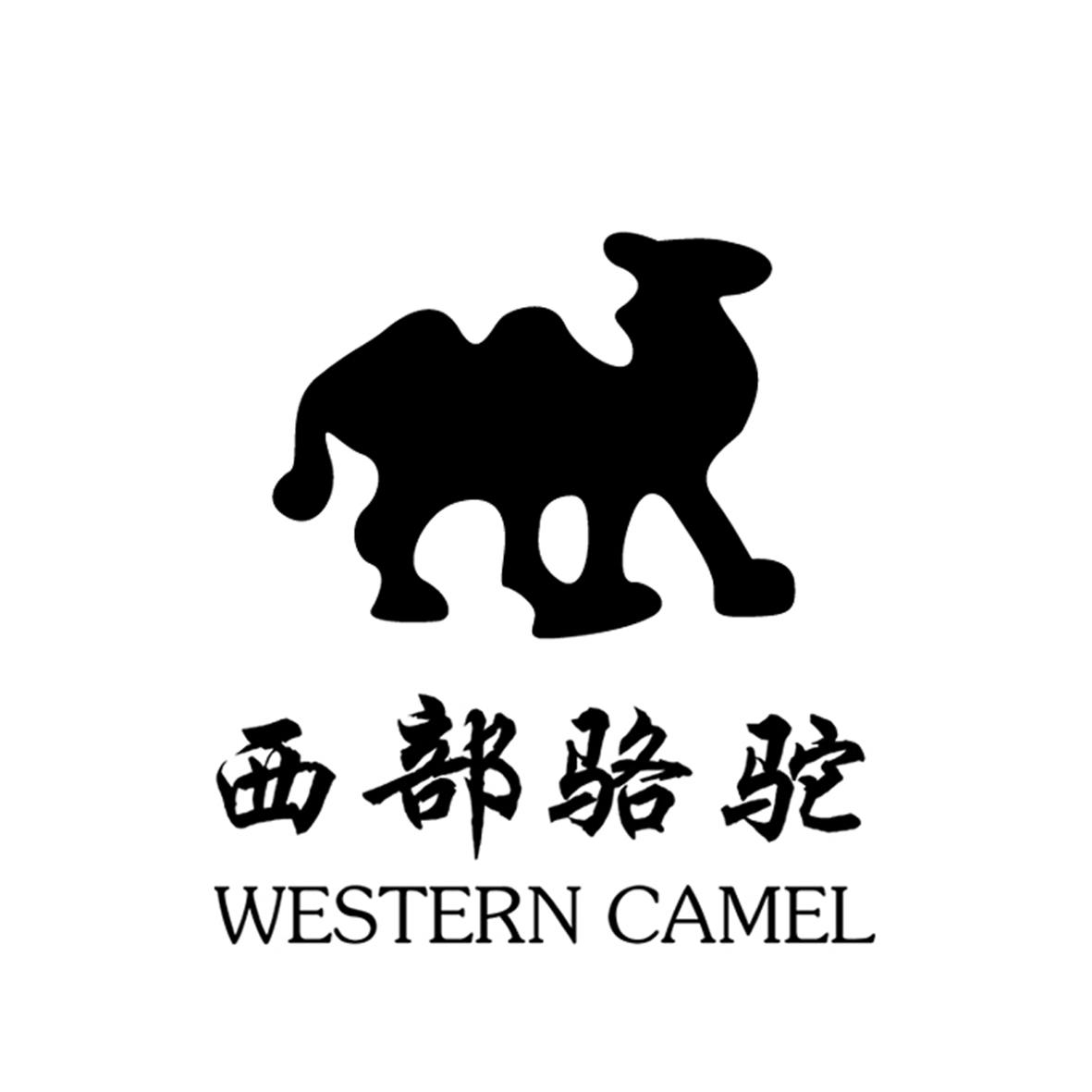 em>西部/em em>骆驼/em em>western/em em>camel/em>