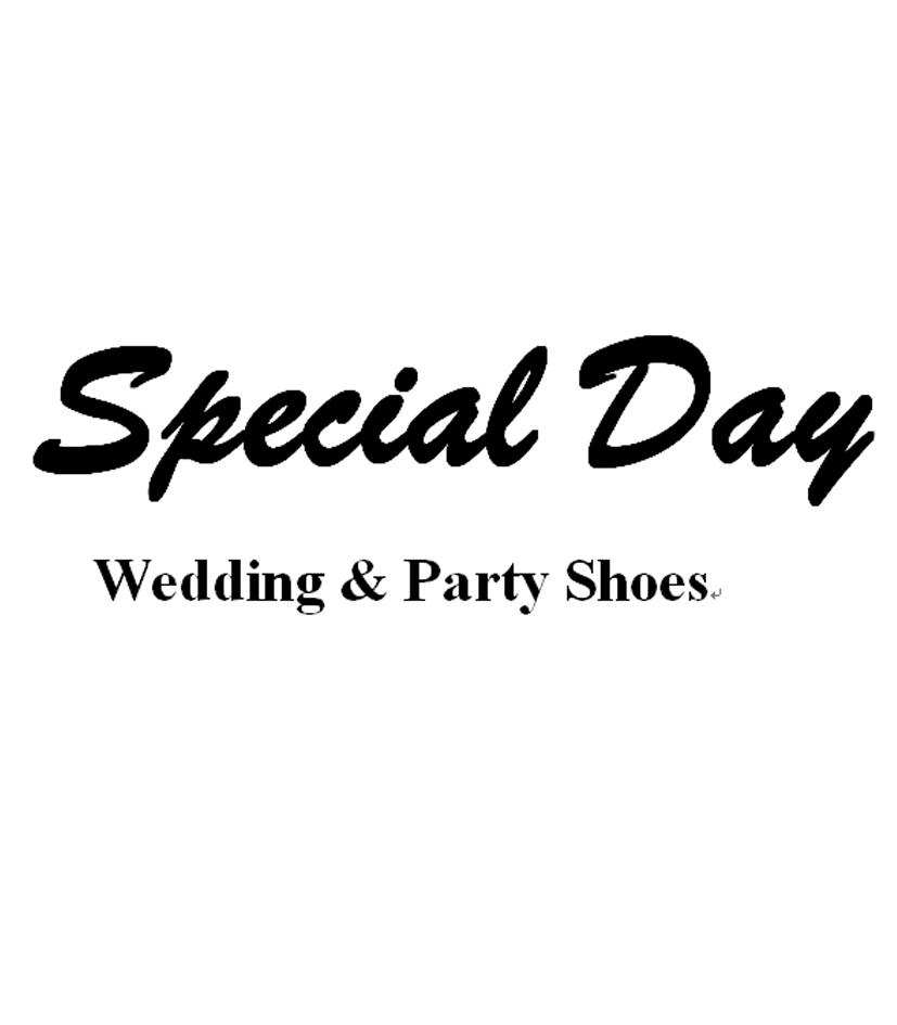 special day  em>wedding /em>& em>party /em> shoes