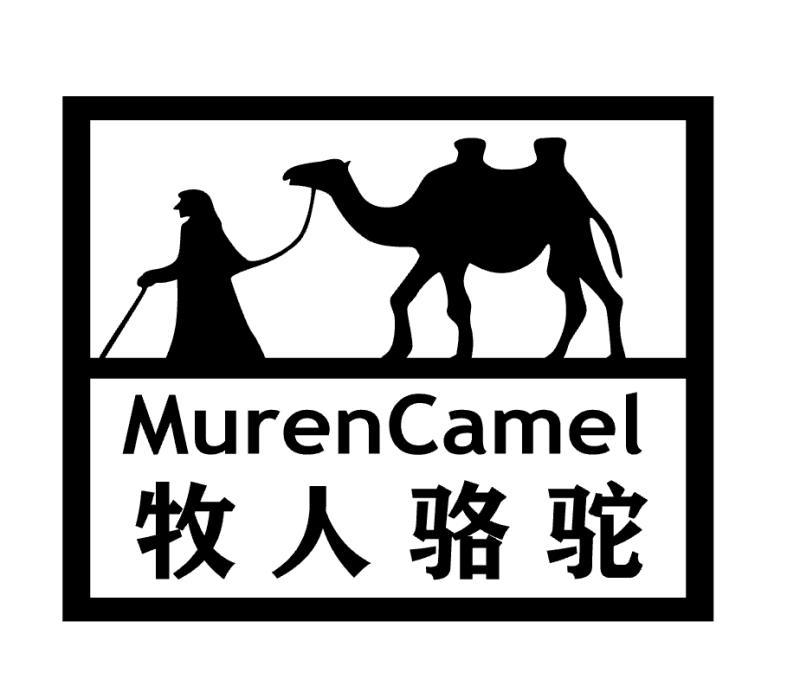 牧人骆驼 muren camel