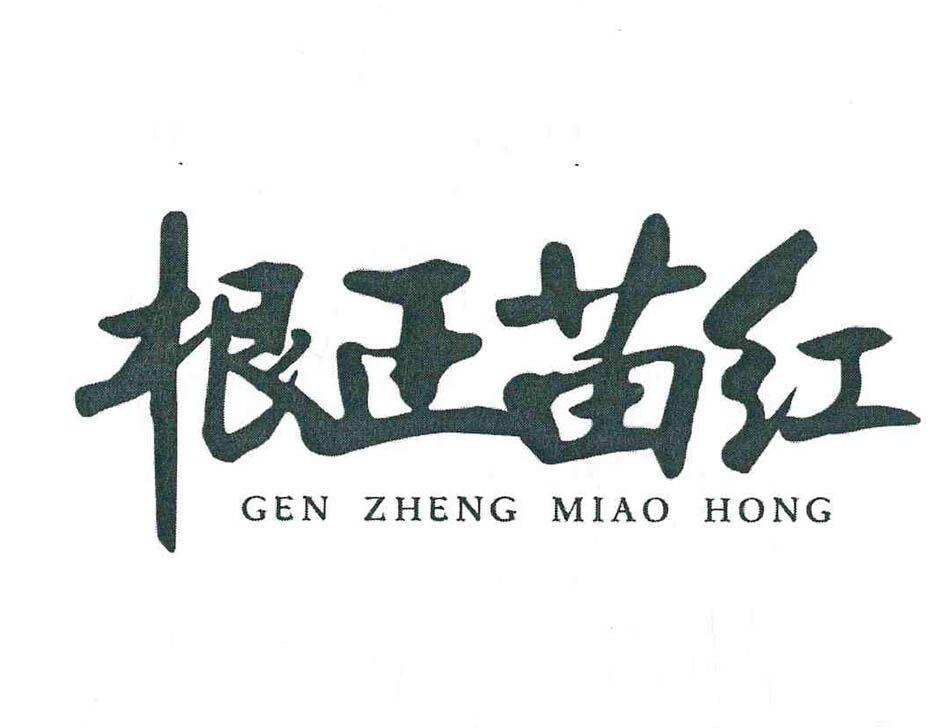  em>根正 /em> em>苗 /em> em>红 /em>