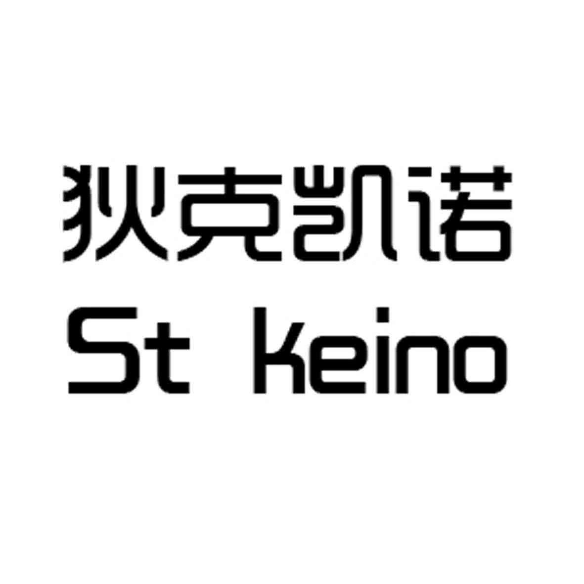 狄克凯诺 st keino