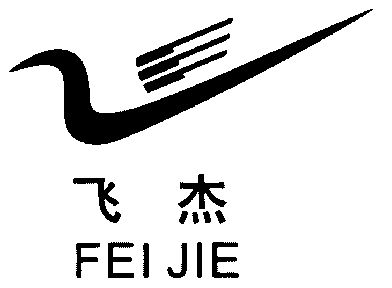 飛傑;fei jie