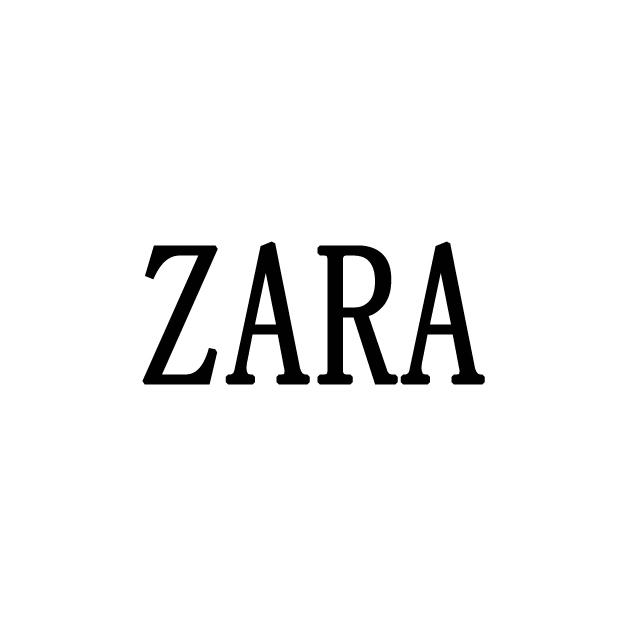 zara logo变化图片