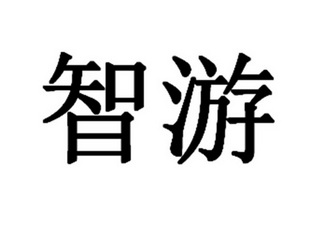 智游