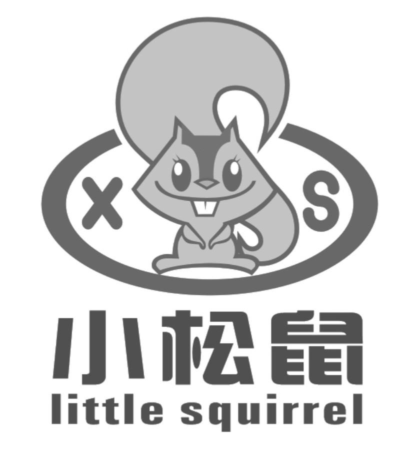 小松鼠xslittlesquirrel_企业商标大全_商标信息查询_爱企查