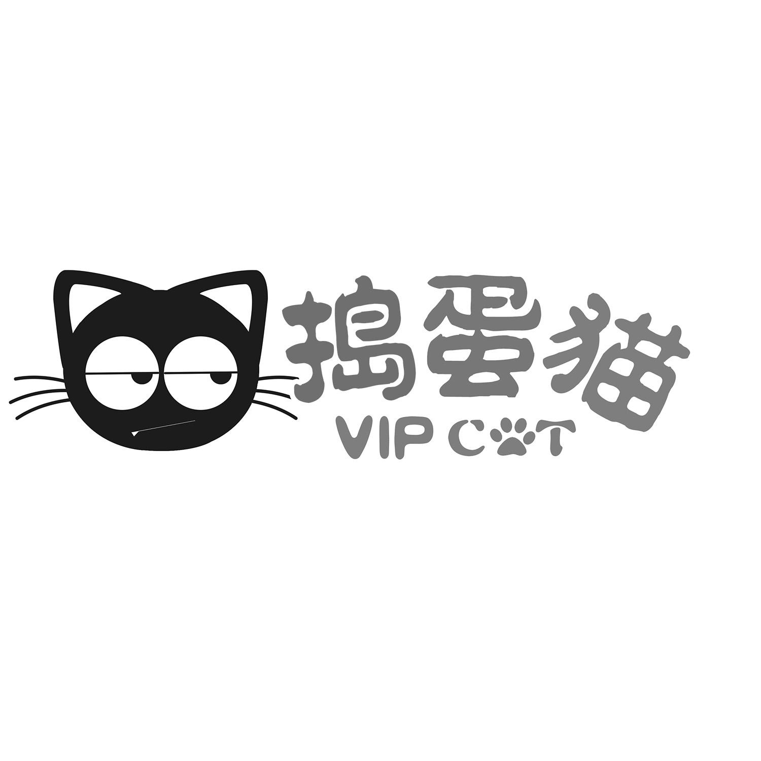 捣蛋猫 vip cat