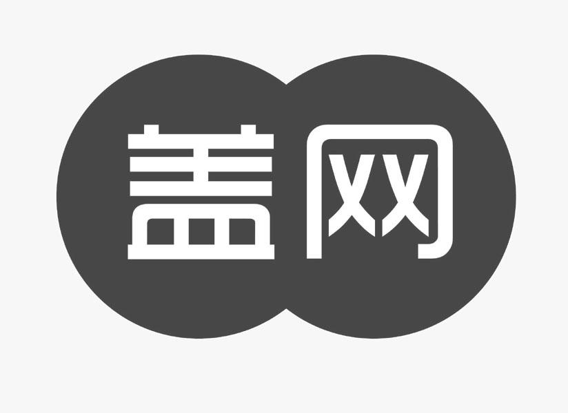 丢盖网logo制作图片