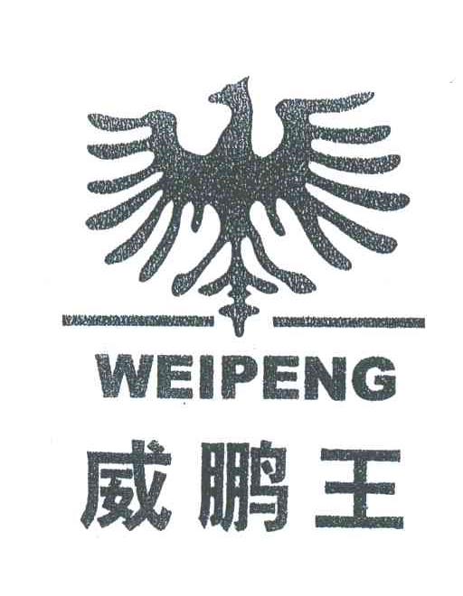 威鹏王weipeng