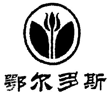 鄂尔多斯                                  