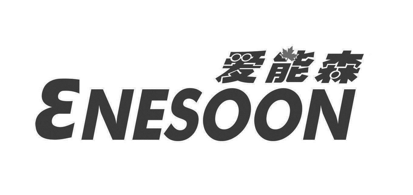 爱能森 ene em>soon /em>