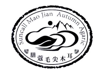 膳蔻毛尖木耳suncallmaojianautumnagaric_企业商标大全_商标信息查询
