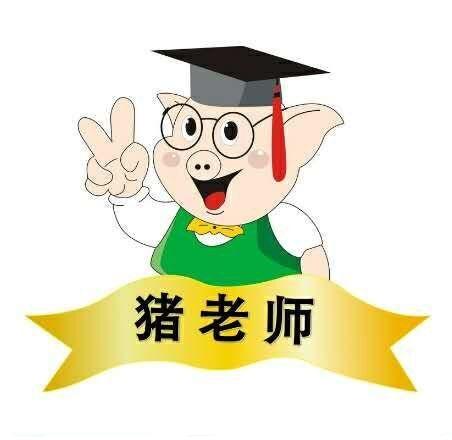 猪老师