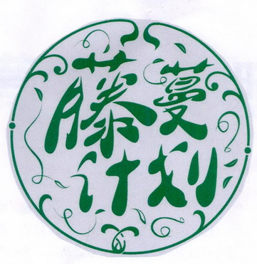  em>藤蔓 /em> em>计划 /em>