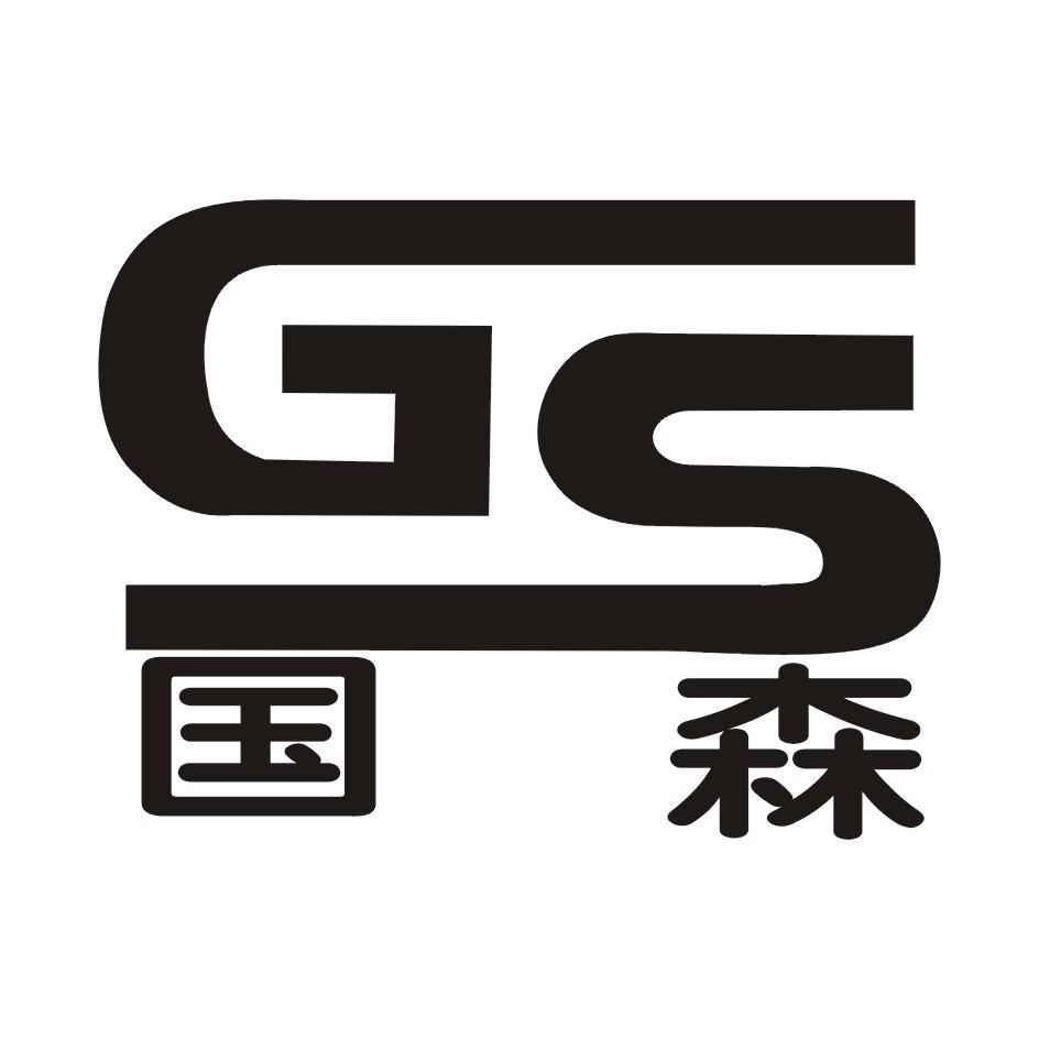 国森gs