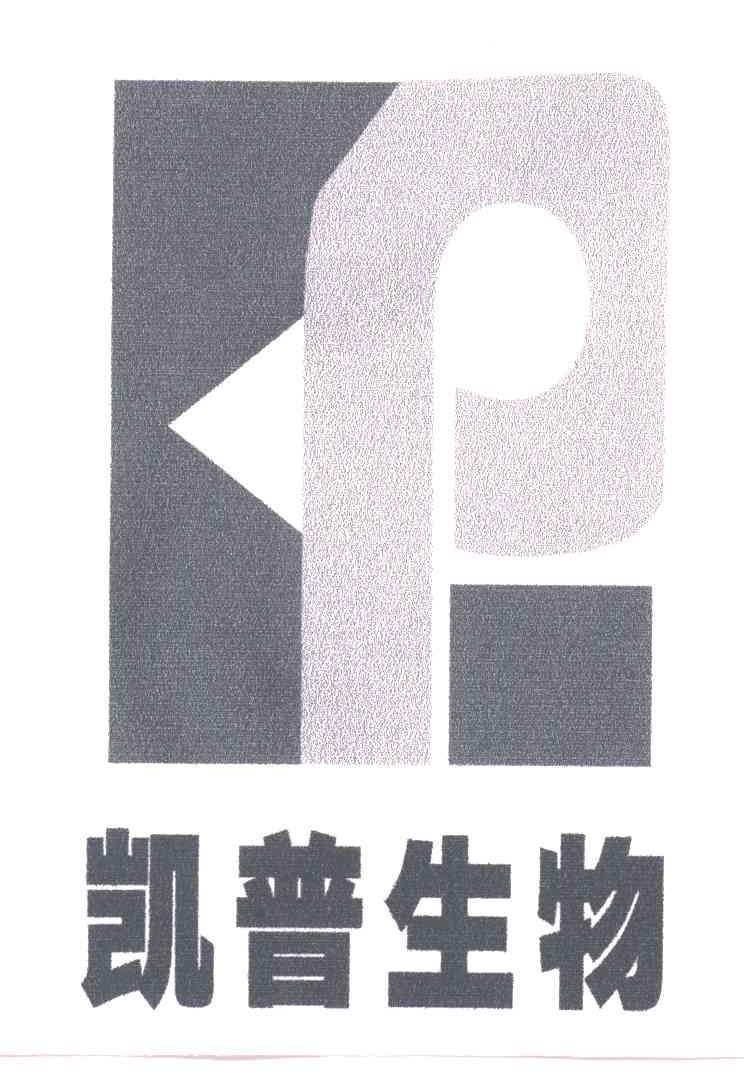 em>凯普/em em>kp/em>