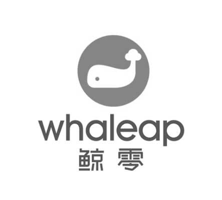 鲸零 em>whaleap /em>