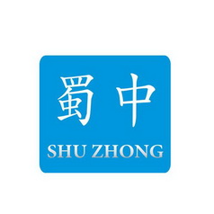 办理/代理机构:天津细软知识产权科技有限公司上海蜀中