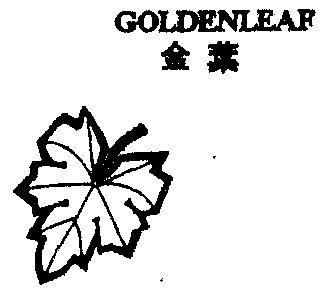 金叶;goldenleaf                           