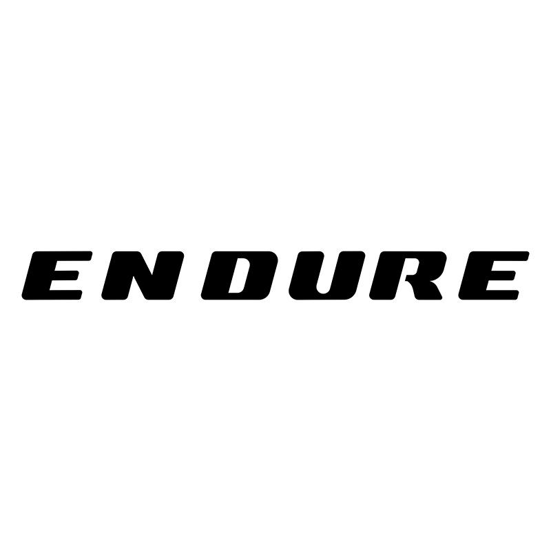  em>endure /em>