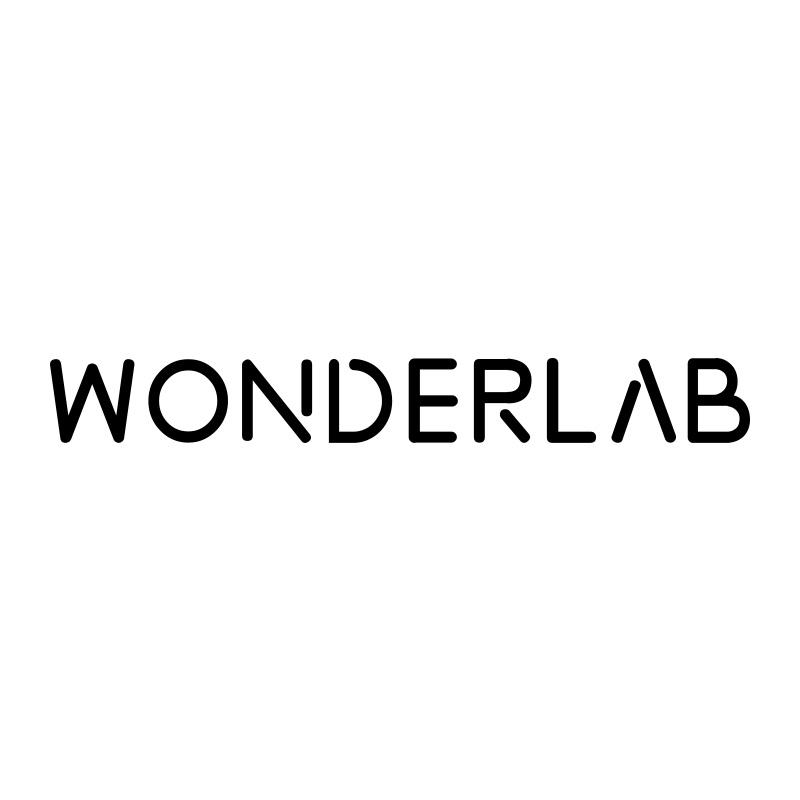  em>wonderlab /em>