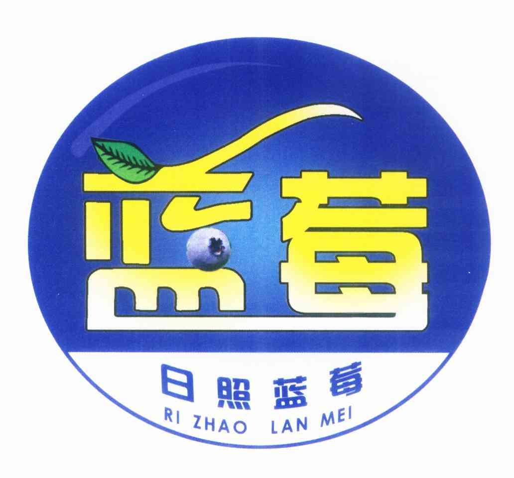  em>日照 /em> em>蓝莓 /em>