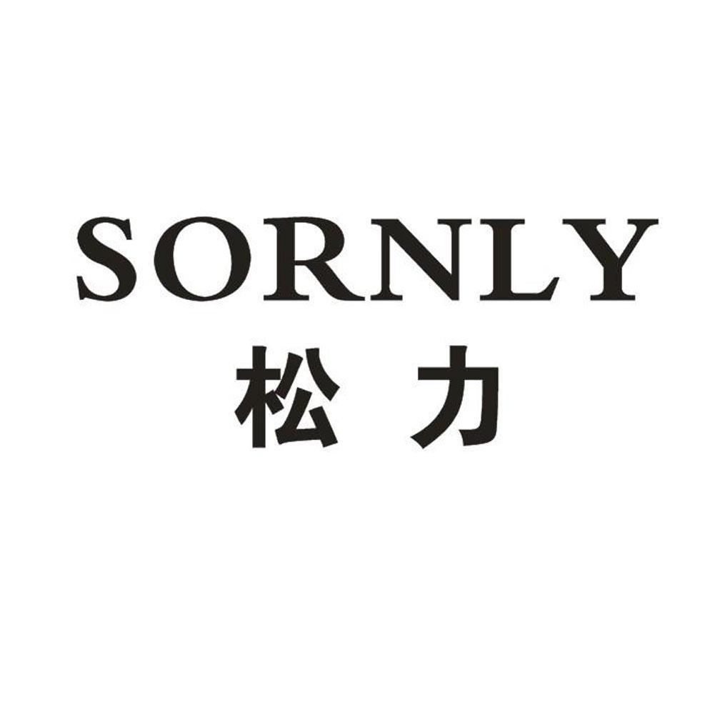 em>松力/em em>sornly/em>
