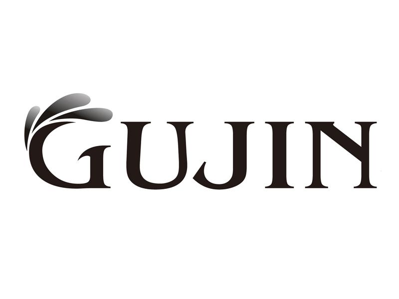 2003-05-13国际分类:第10类-医疗器械商标申请人:上海古今内衣集团