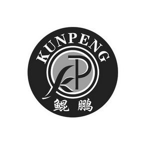  em>鲲鹏 /em>  em>kp /em>