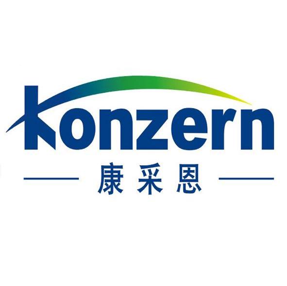  em>康采恩 /em>  em>konzern /em>