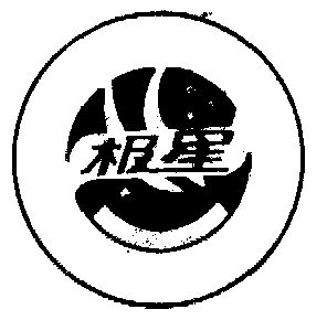 极星