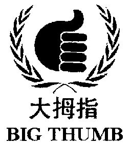  em>大拇指 /em>; em>big /em>  em>thumb /em>