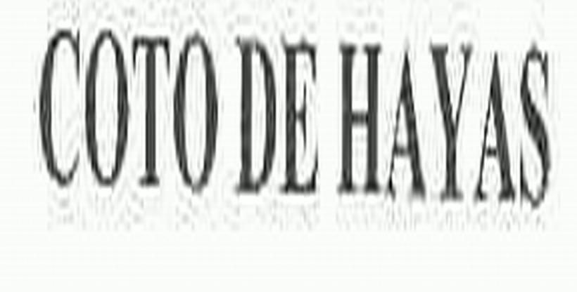 coto de  em>hayas /em>