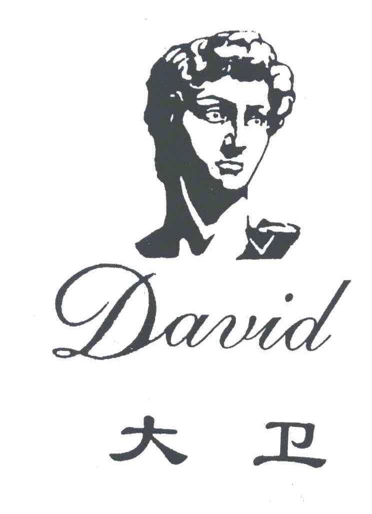 大卫;david