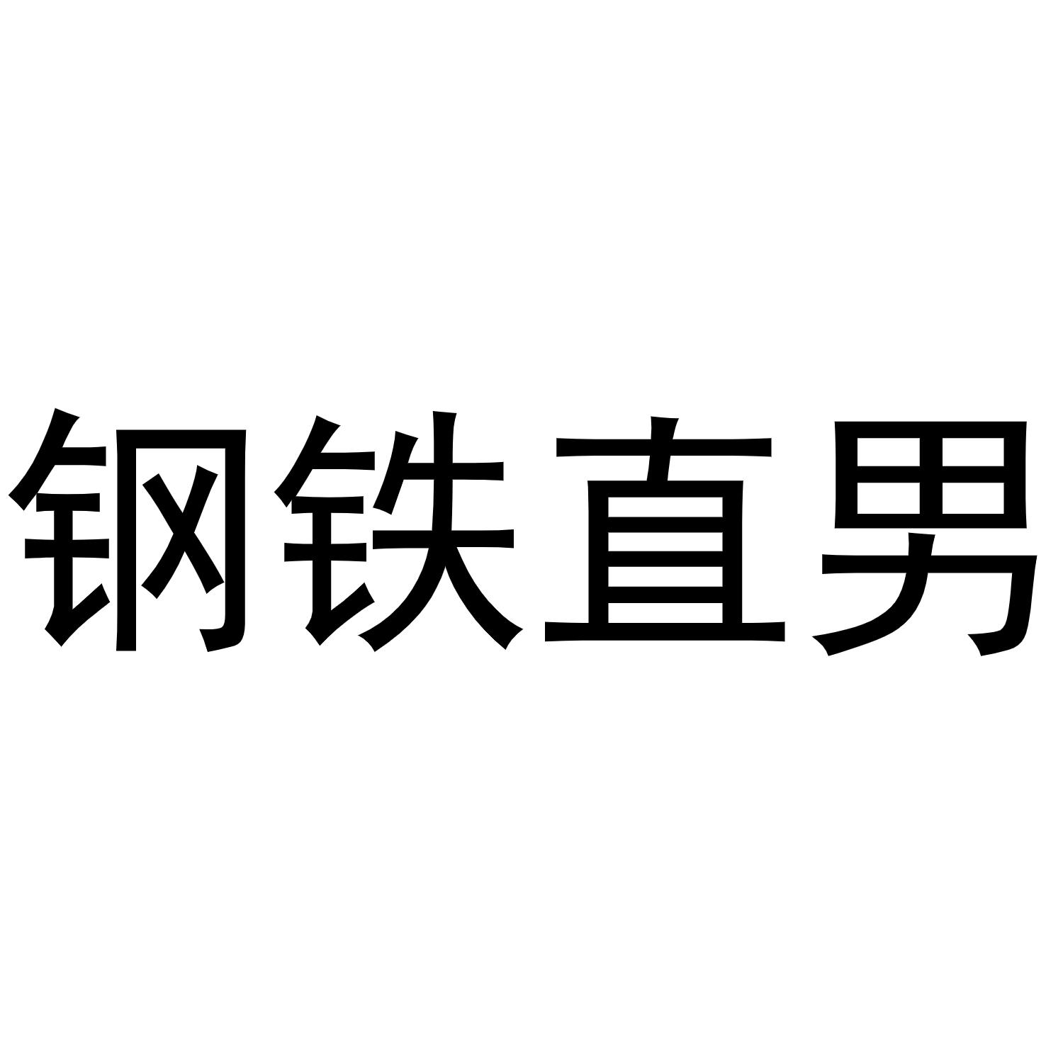  em>钢铁 /em> em>直男 /em>