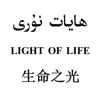生命之光 light of life - 商标 - 爱企查
