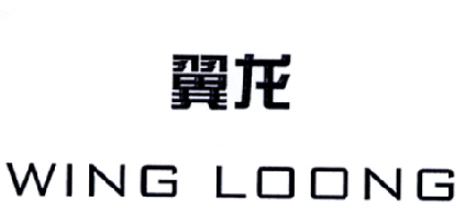  em>翼龙 /em>  em>wing /em>  em>loong /em>