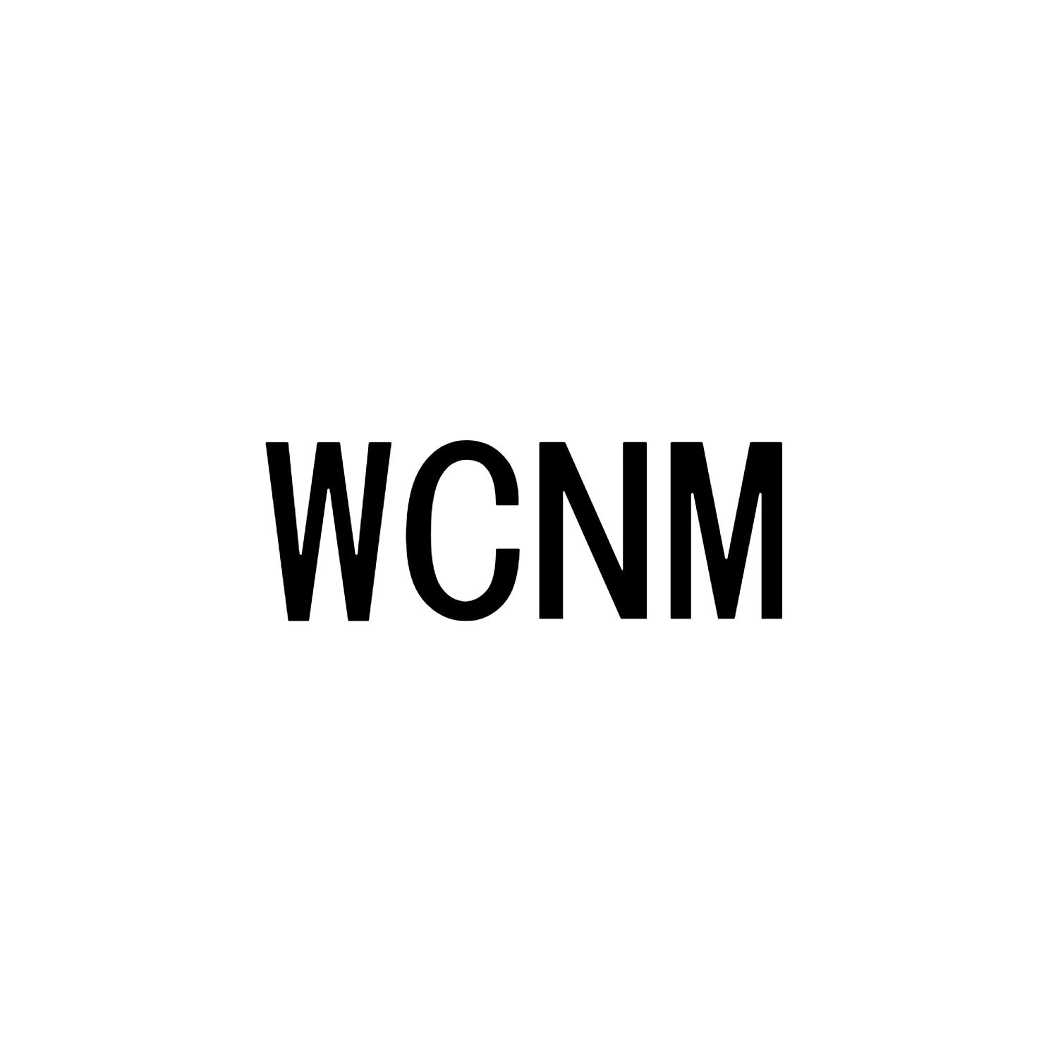 wcnm等待实质审查