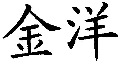 金洋                                      