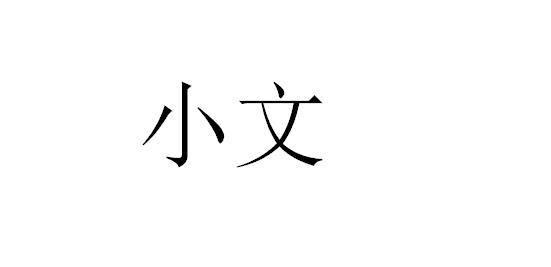  em>小文 /em>