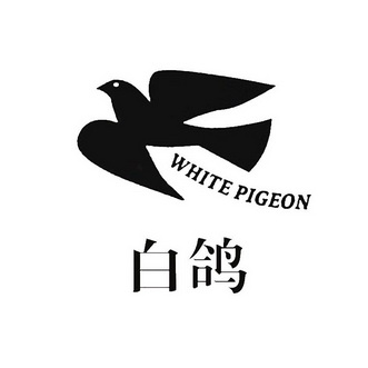  em>白鸽 /em>  em>white /em>  em>pigeon /em>