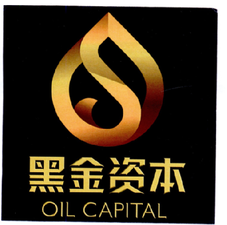  em>黑金 /em> em>资本 /em>  em>oil /em>  em>capital /em>