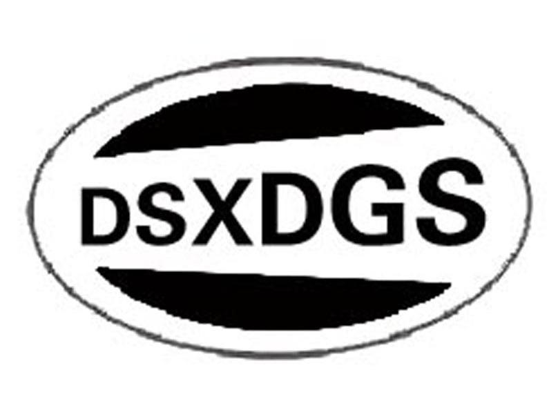 dsxdgs