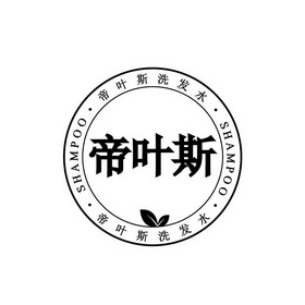 帝叶斯 帝叶斯洗发水  em>shampoo /em>